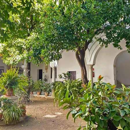 Intramuros - Ole Solutions * Jerez de la Frontera